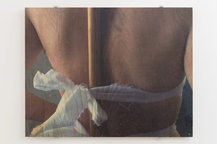 41473112_1232507946898135_7419903084442157056_n